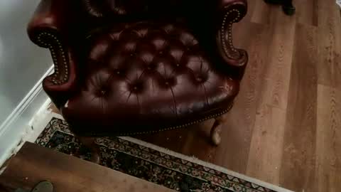 James Pembroke at your service online show from January 3, 12:43 am