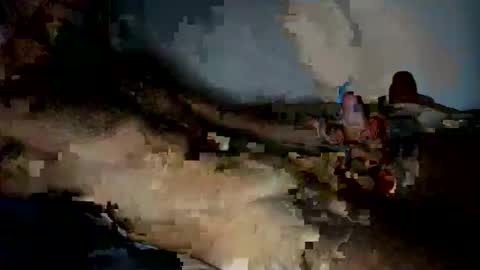 jardinflowers online show from November 28, 5:21 am