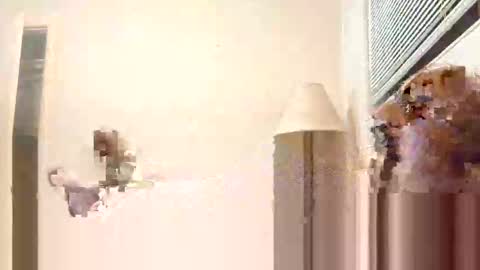 jaxstrong7 online show from March 12, 6:51 am