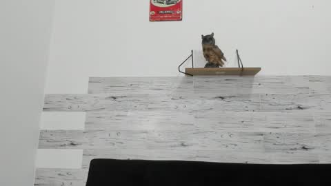 Jaycreedd online show from October 22, 2:37 am