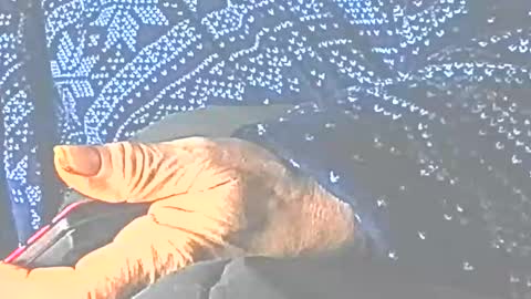 jedishy925585 online show from December 22, 1:30 pm