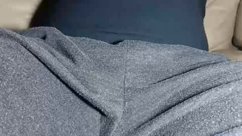 jeffersonel online show from February 9, 5:56 am