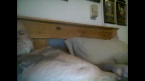 jerkmate6666 online show from June 5, 12:48 am