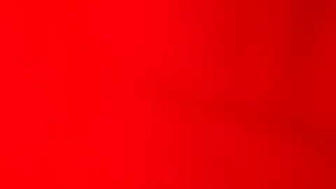 jhapd online show from December 10, 11:43 am