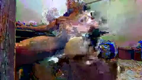 JHESHUA2024  online show from March 30, 5:03 pm