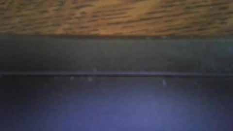 jin16000 online show from January 12, 11:47 am