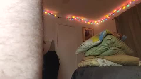 Jmtz4420 online show from December 15, 5:59 am