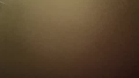 jojobrauer online show from September 26, 9:51 am