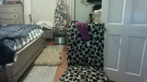 jonsch55 online show from December 3, 11:33 pm