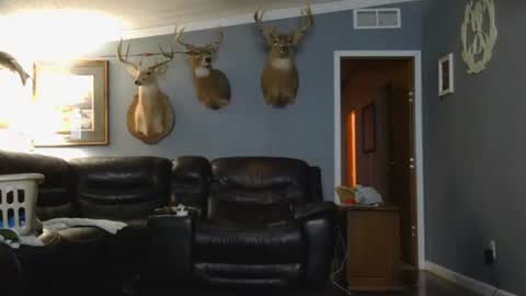 Josh online show from March 26, 2:26 am