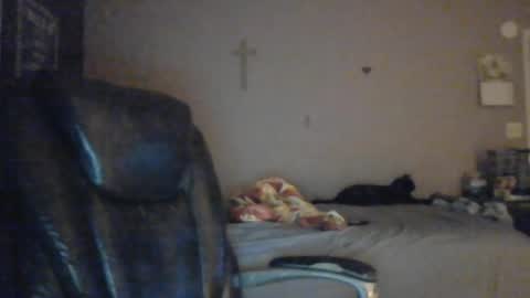 jpetz69257238 online show from August 5, 5:23 am