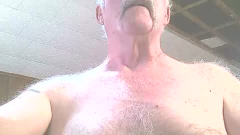 justdon online show from June 24, 3:26 pm