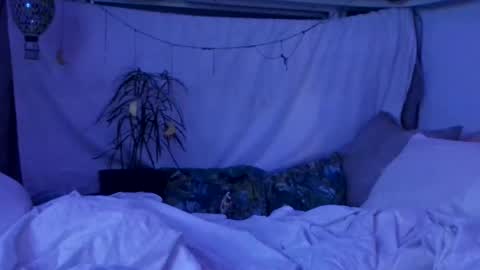 jwolf11851725 online show from October 29, 10:07 am