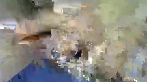 Snapshot of kingcums_95 chatting on March 8, 12:17 pm kingcums_95 online show from March 8, 12:17 pm