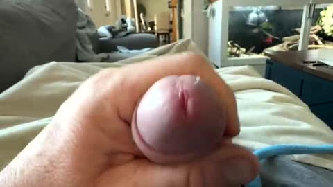 kingofthecastle2019 online show from March 24, 11:48 am