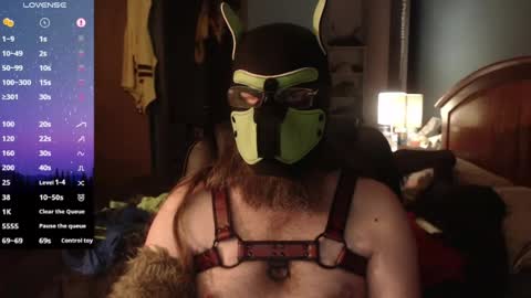 kinkywolf87 online show from June 14, 3:08 am