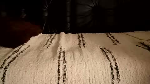 kizakiza1991 online show from December 2, 6:33 pm