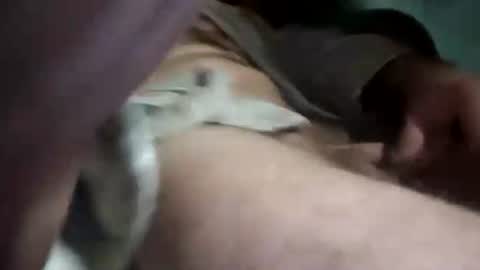 klqbxyhogauv online show from October 8, 7:46 am