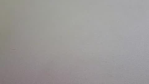 l0cean online show from March 1, 1:44 pm