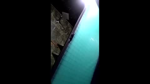 labestiareconoseme44420 online show from March 17, 6:49 am