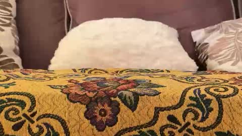 lamborghini3 online show from March 17, 12:29 pm