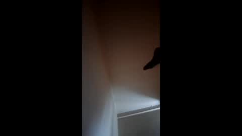 Longdickstyle online show from April 17, 6:38 am