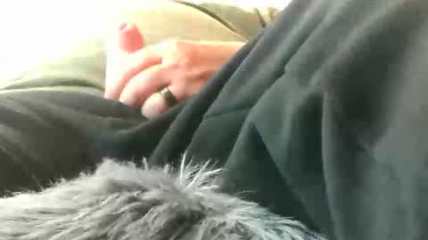 leckfreund53 online show from March 15, 2:45 pm