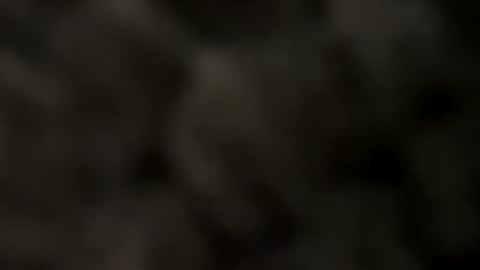 letsgetubare online show from April 29, 11:37 am