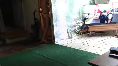 Romel online show from May 24, 3:51 pm