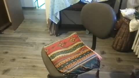 Snapshot of libido11 chatting on September 15, 12:39 pm Libido11 online show from September 15, 12:39 pm