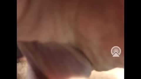 Lil Dicky online show from February 3, 1:19 am