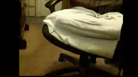 Sasquatch online show from March 1, 5:34 pm