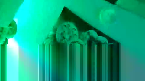 OLI3 online show from April 8, 12:58 pm