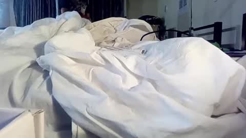 Snapshot of linkz316 chatting on September 13, 8:15 am linkz316 online show from September 13, 8:15 am