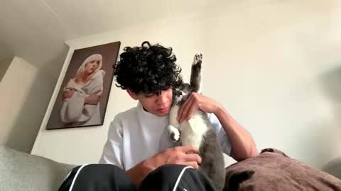 new account Lion online show from April 17, 10:12 pm