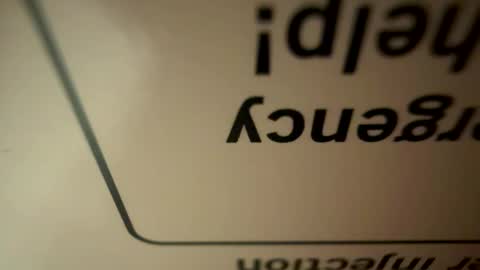 Little Tj online show from April 29, 4:06 am