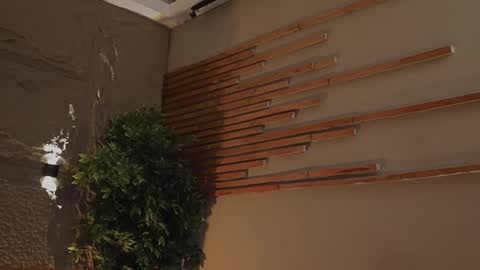 loganvarela online show from October 30, 7:15 pm