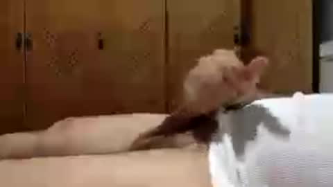 Handsome Cock online show from May 12, 10:40 pm