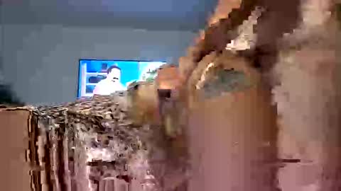 lowkeyspunbwc online show from October 31, 10:18 am