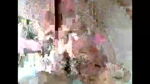 daddy17 online show from May 31, 2:38 pm