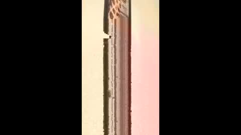 lxwdnpsijxae online show from April 29, 12:10 pm