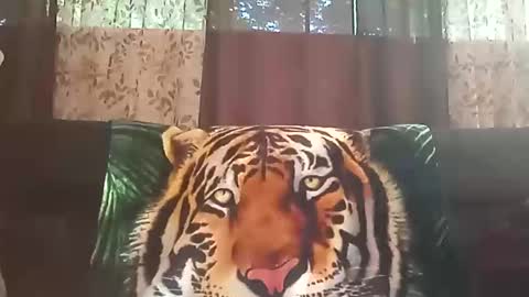 lxwdnpsijxae online show from September 23, 12:26 pm