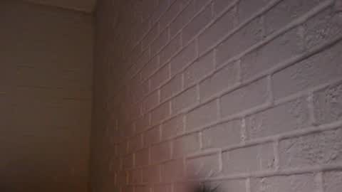Snapshot of m831481 chatting on December 5, 7:27 am Hotandhairy online show from December 5, 7:27 am