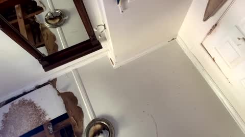 Snapshot of mainecollegeboy chatting on September 15, 3:35 pm mainecollegeboy online show from September 15, 3:35 pm