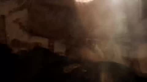 manet80 online show from November 12, 10:32 am