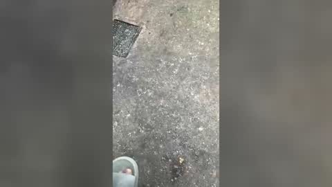 Slavyk online show from July 26, 8:33 am
