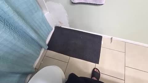 maskedmagikstik online show from March 24, 3:44 am