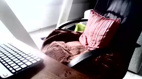 maskime59 online show from December 9, 9:06 am