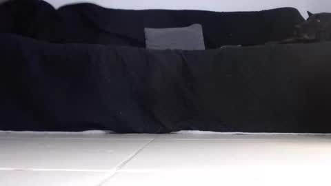 cash master jose online show from November 24, 11:28 pm