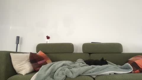 mat_johof online show from November 4, 3:02 pm